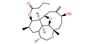 4-Deoxyasbestinin G